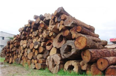 美国木材价格连续三次下跌